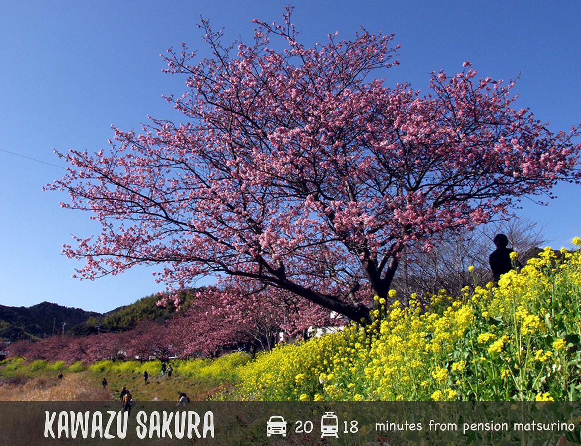 Pension Matsurino Izu (Shizuoka) Bagian luar foto